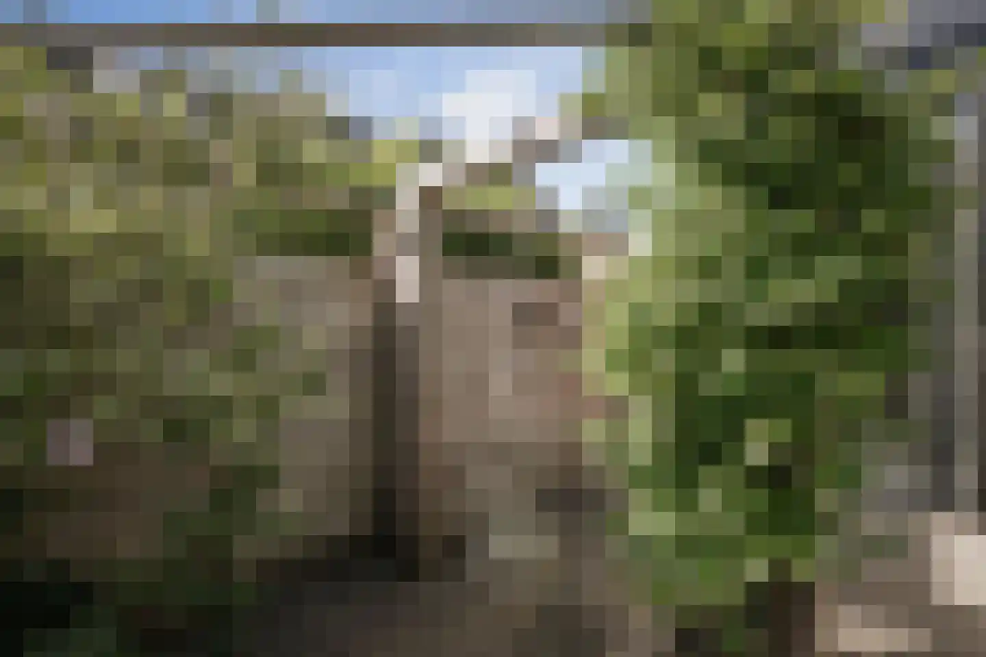 Oudegoedstraat 2 Deventer thumbnail 19
