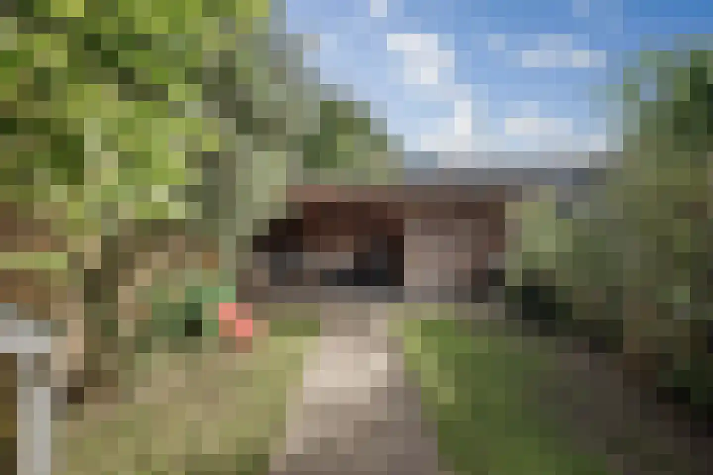 Oudegoedstraat 2 Deventer thumbnail 21