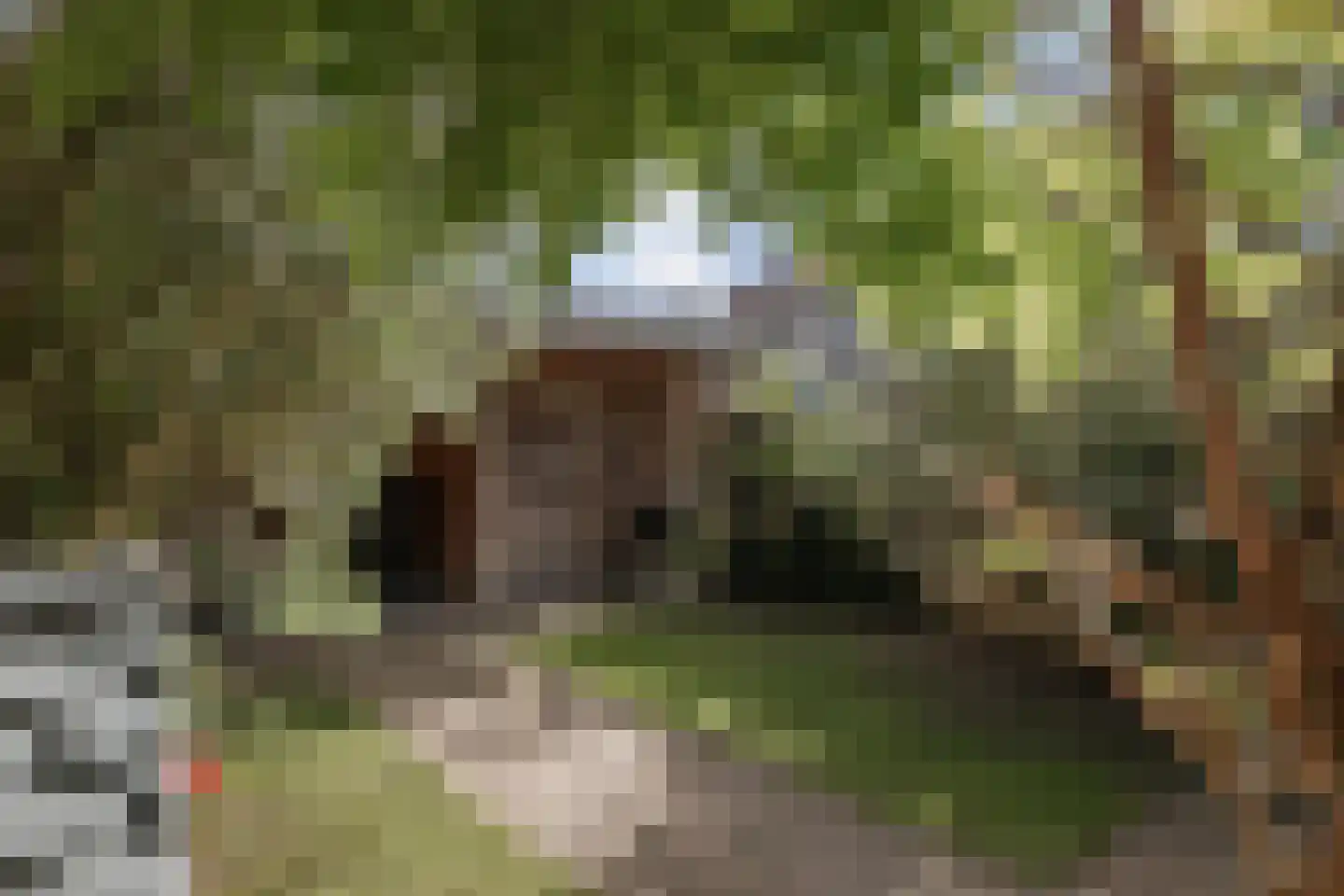 Oudegoedstraat 2 Deventer thumbnail 22