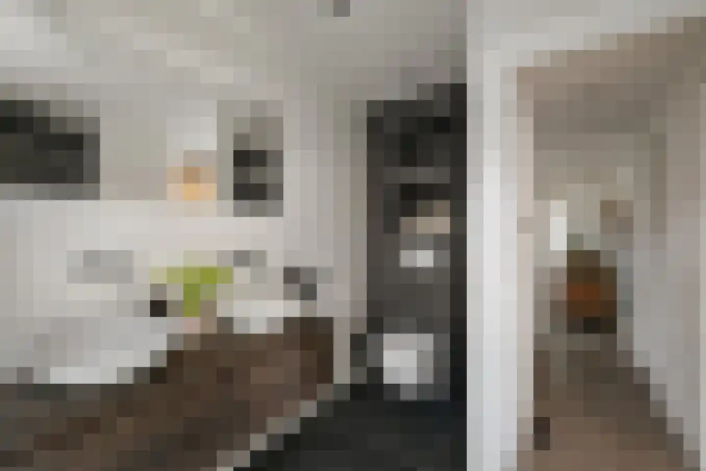 Oudegoedstraat 2 Deventer thumbnail 31