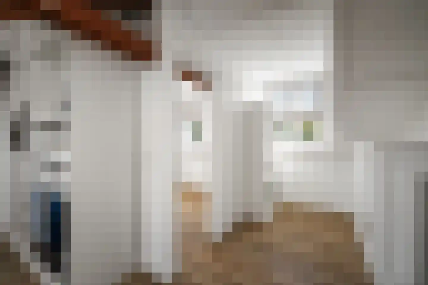 Oudegoedstraat 2 Deventer thumbnail 41