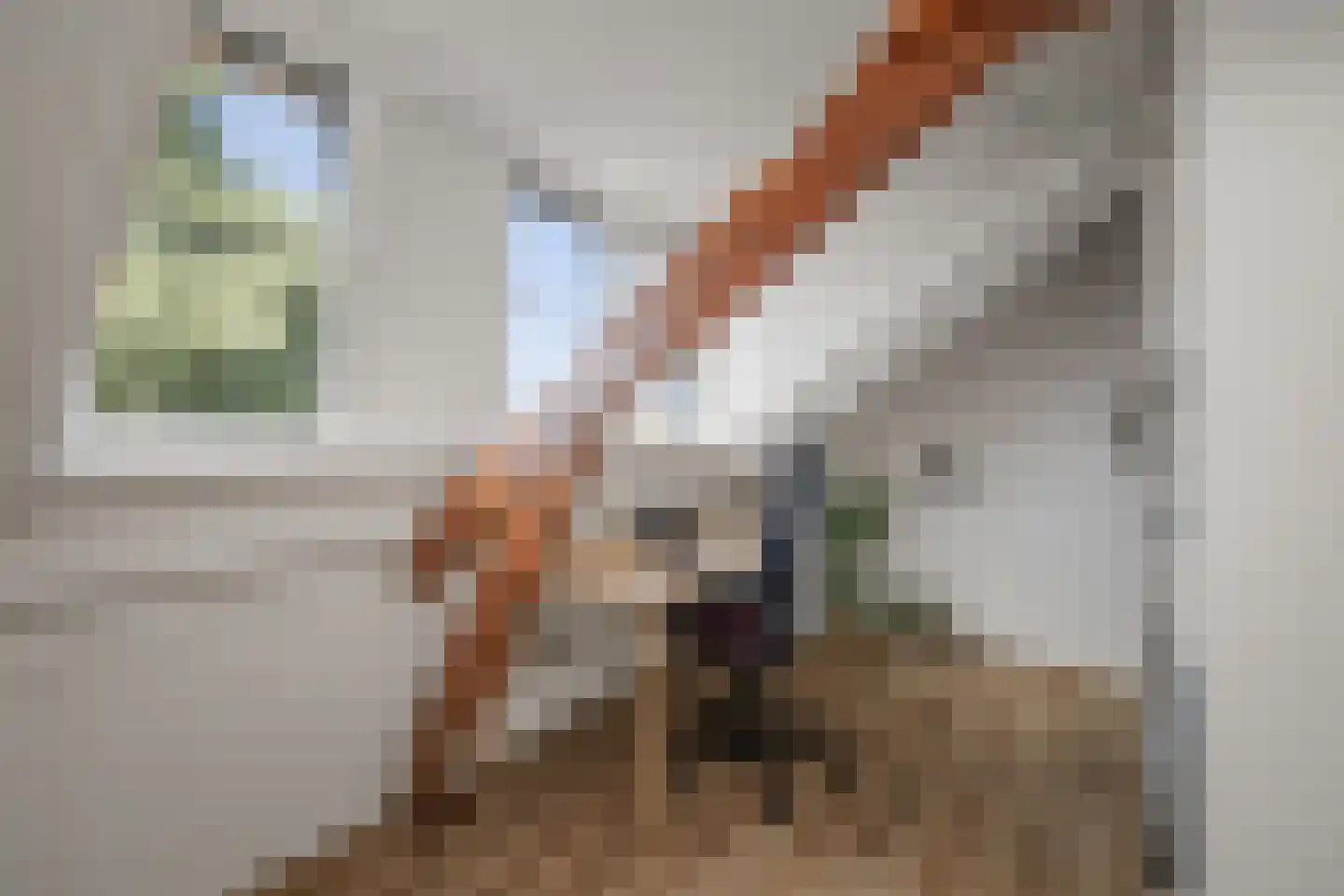 Oudegoedstraat 2 Deventer thumbnail 42