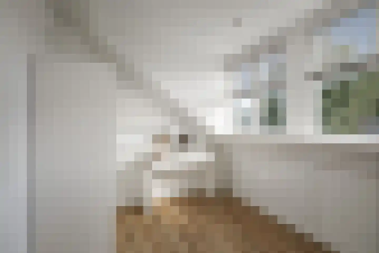 Oudegoedstraat 2 Deventer thumbnail 43