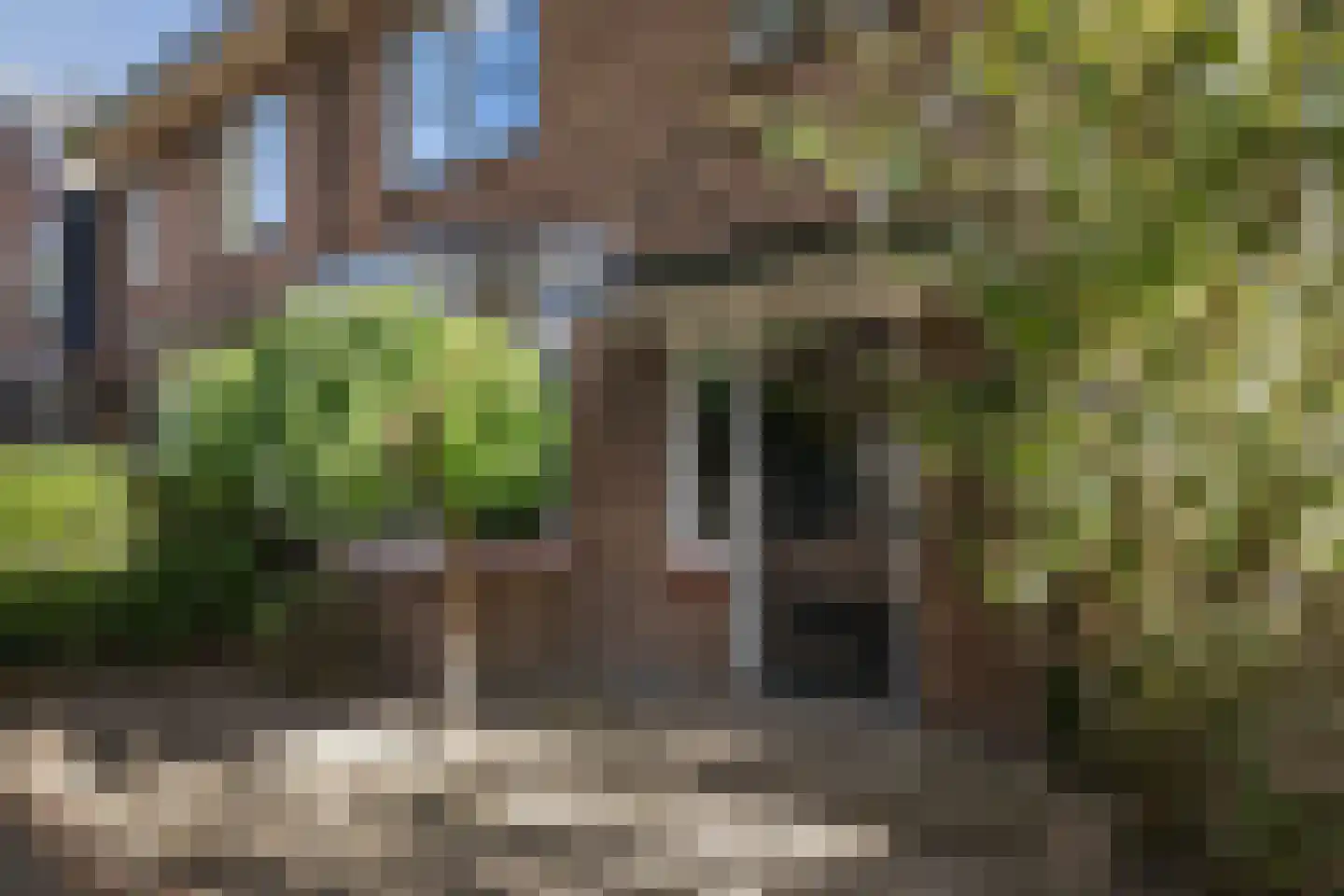 Oudegoedstraat 2 Deventer thumbnail 6