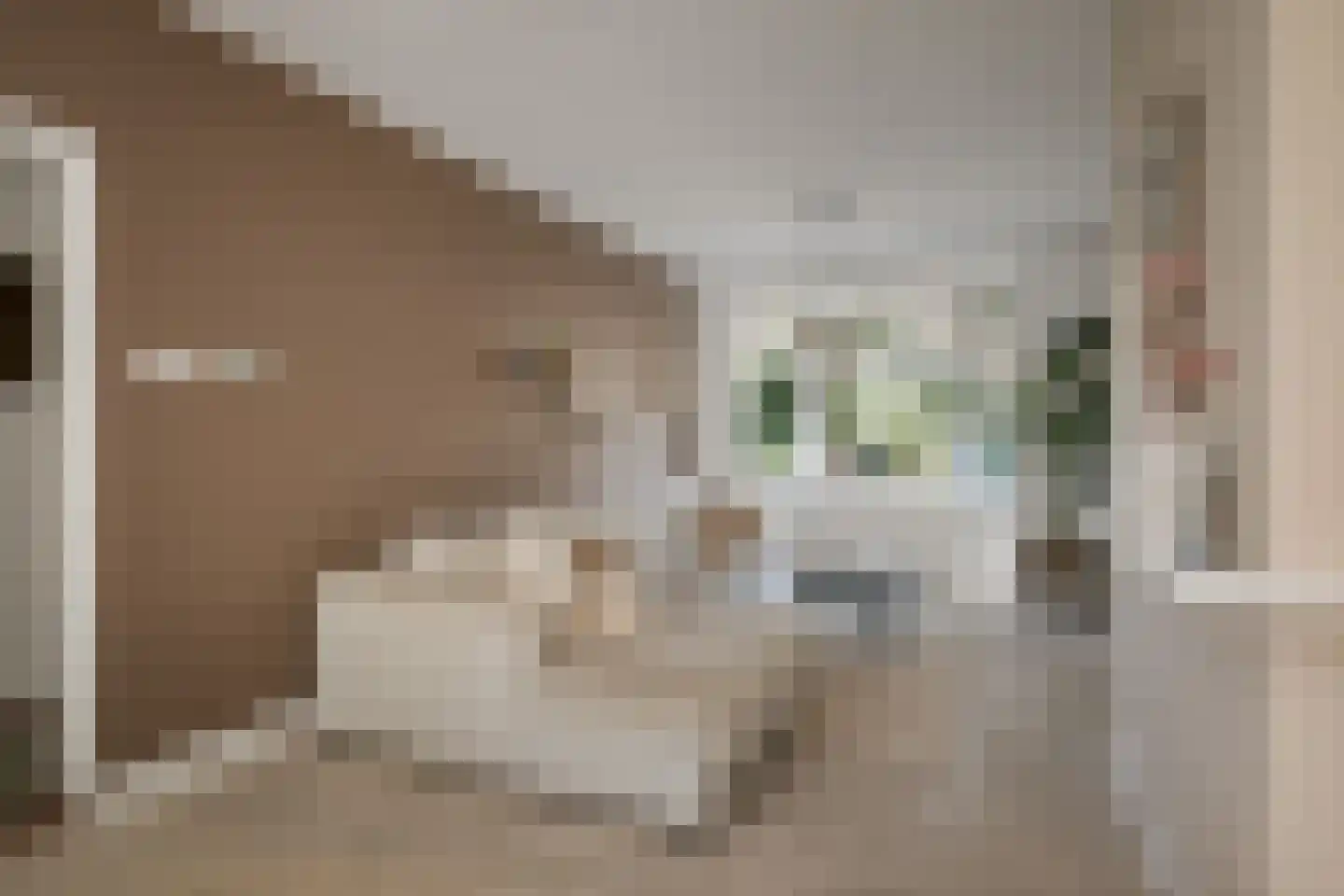 Oudegoedstraat 2 Deventer thumbnail 9