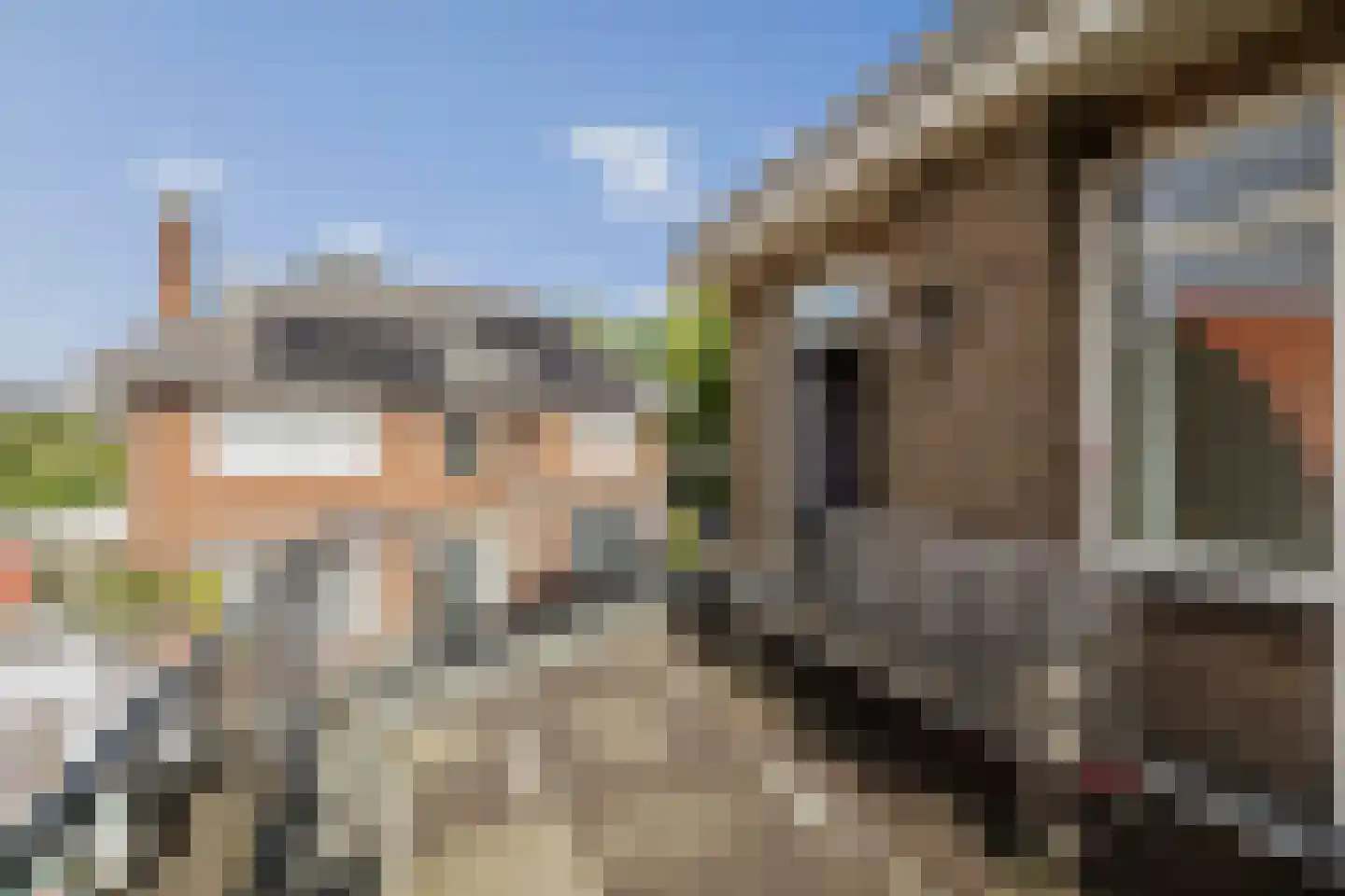 Oudegoedstraat 25 Deventer thumbnail 28