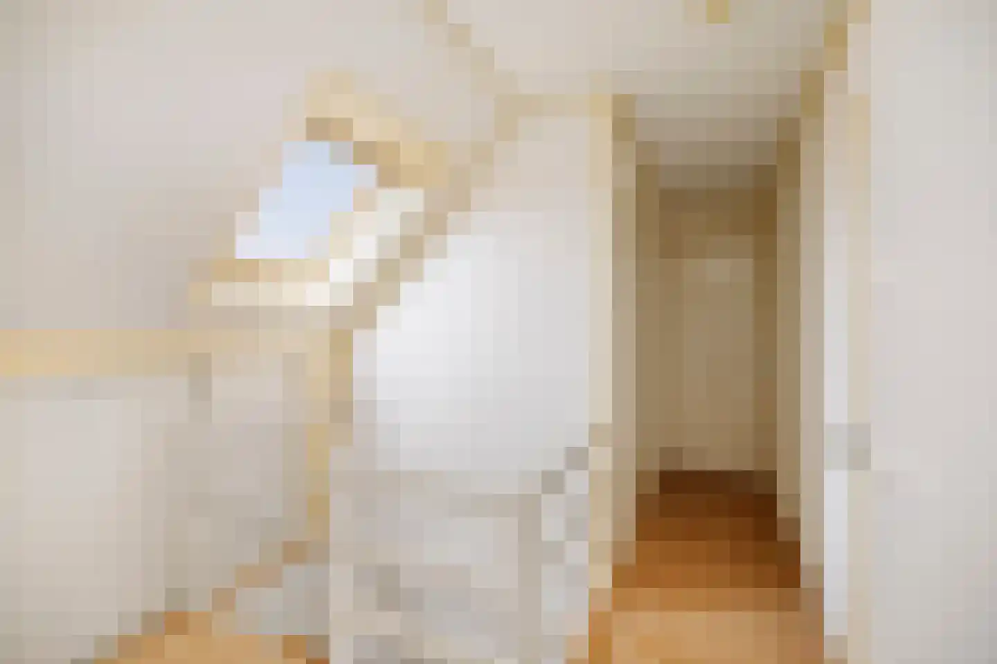 Oudegoedstraat 25 Deventer thumbnail 33