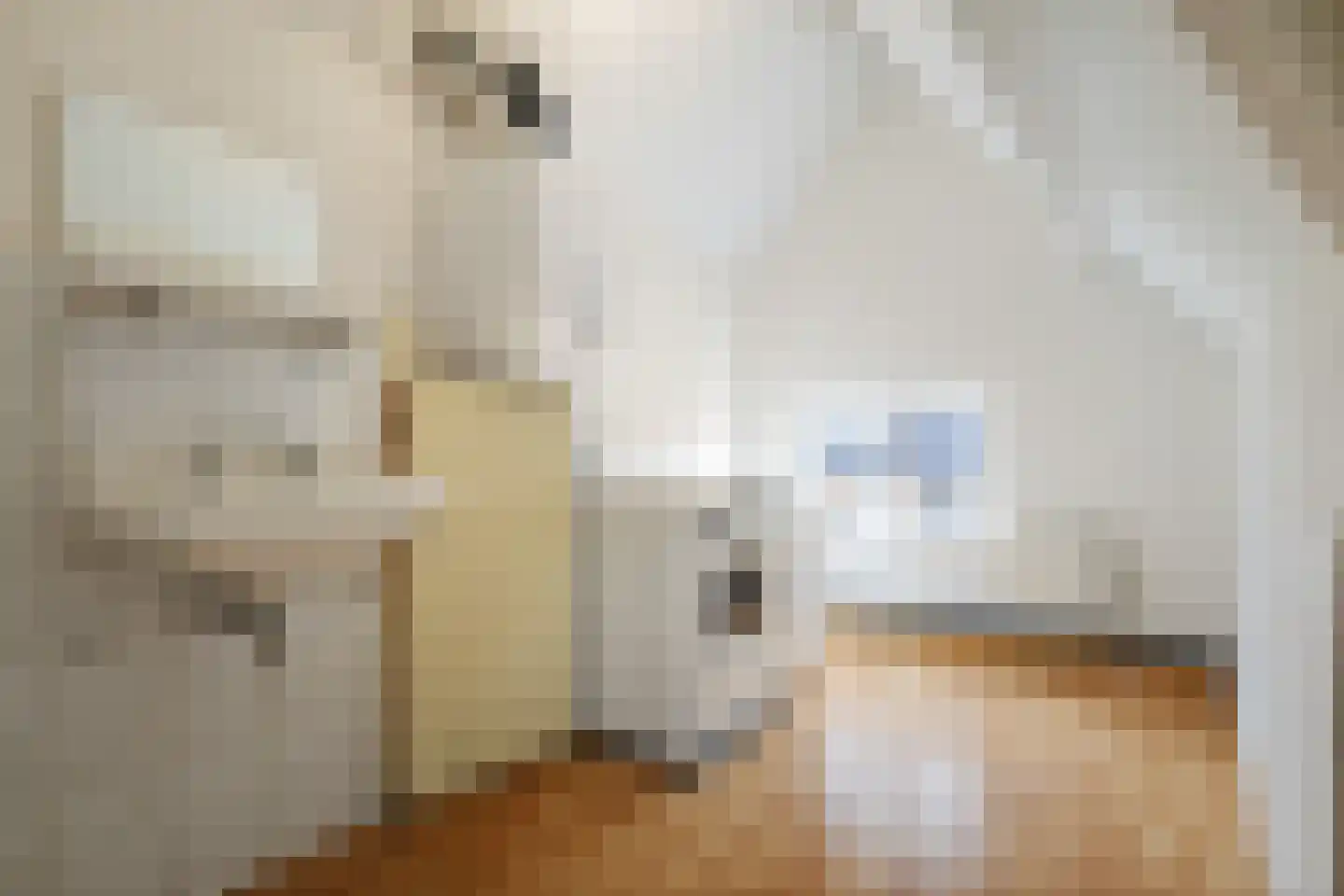 Oudegoedstraat 81 Deventer thumbnail 31