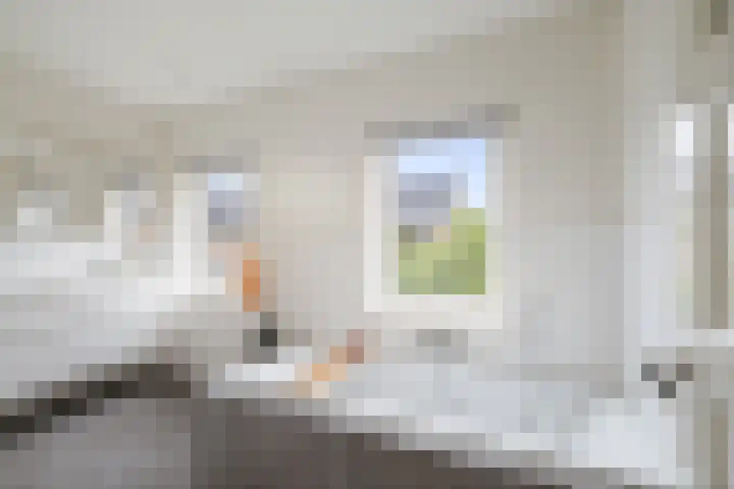 Oudegoedstraat 81 Deventer thumbnail 5