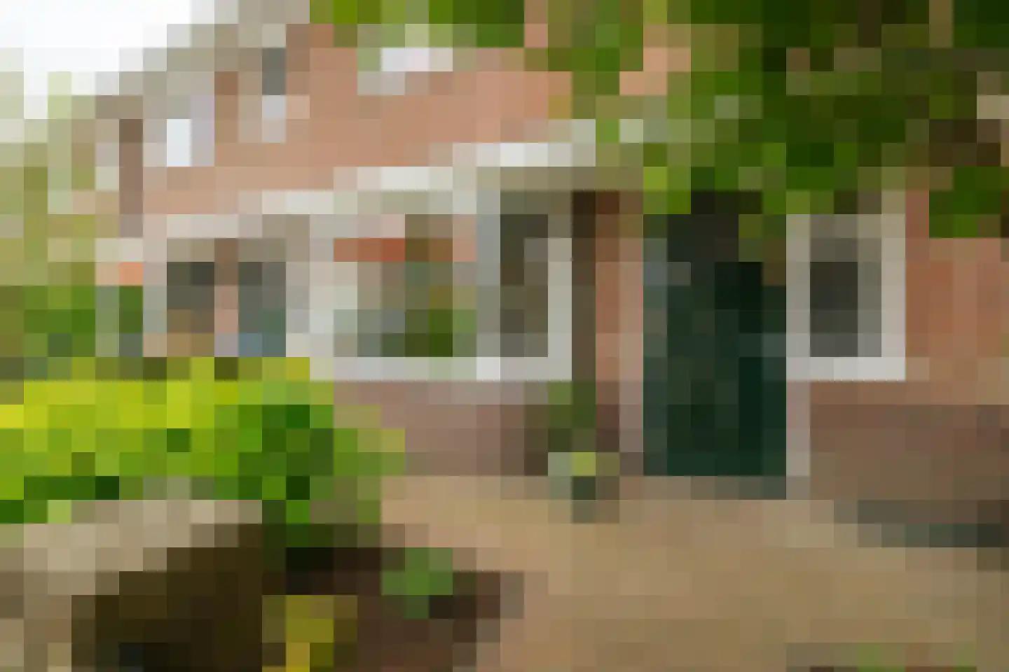 Oudegoedstraat 81 Deventer thumbnail 6