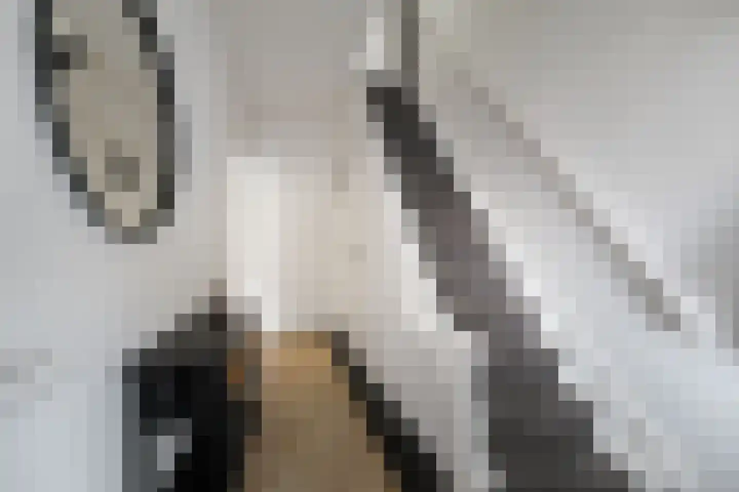 Oudegoedstraat 81 Deventer thumbnail 8
