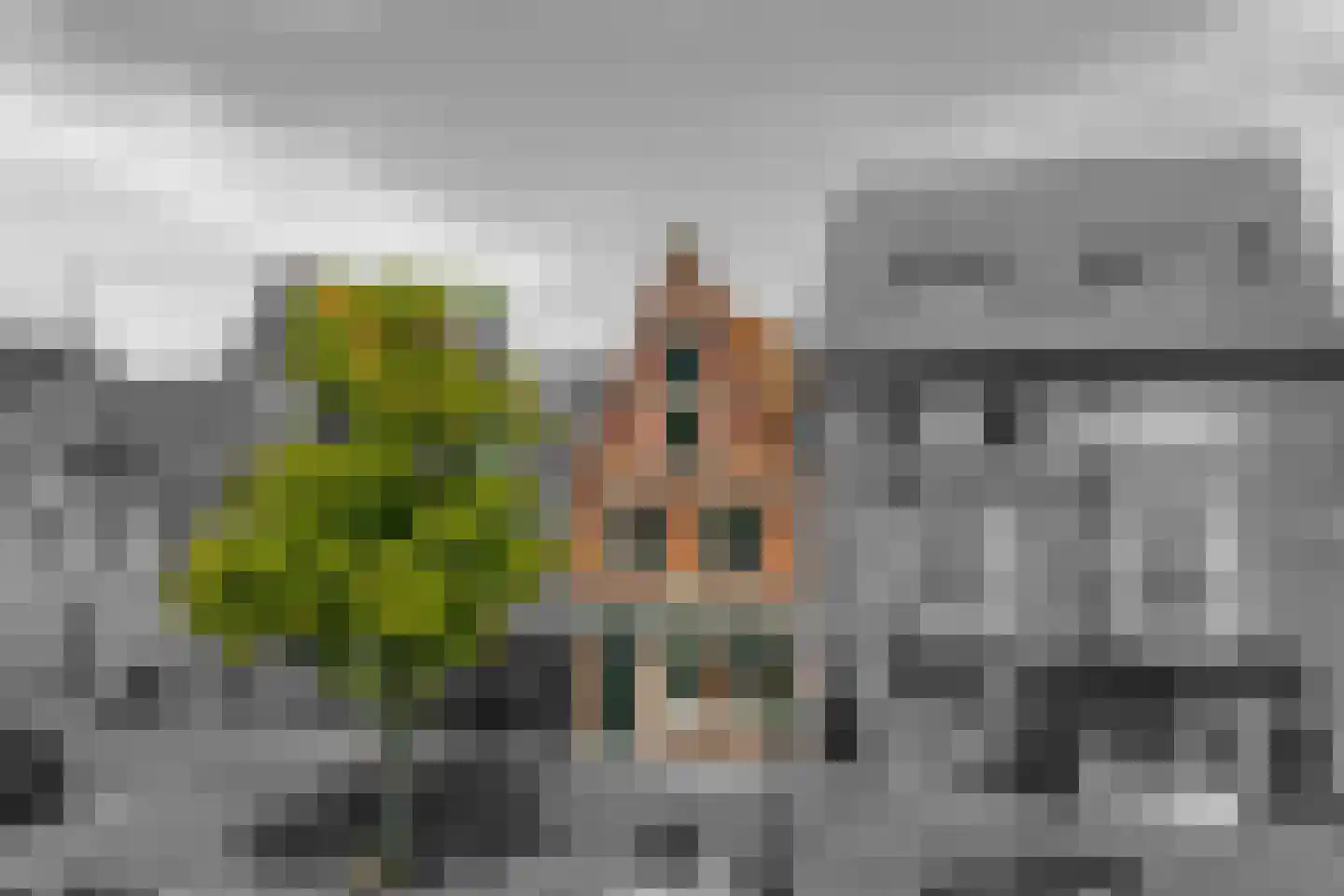 Oudegracht 114 Alkmaar thumbnail 7