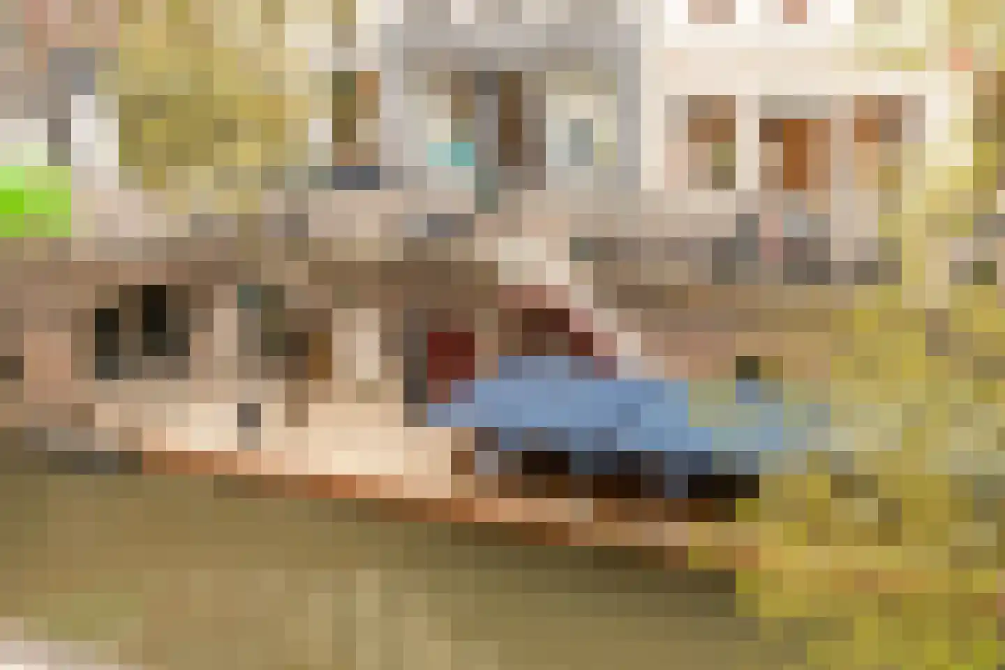 Oudegracht 150 BSA Utrecht thumbnail 6