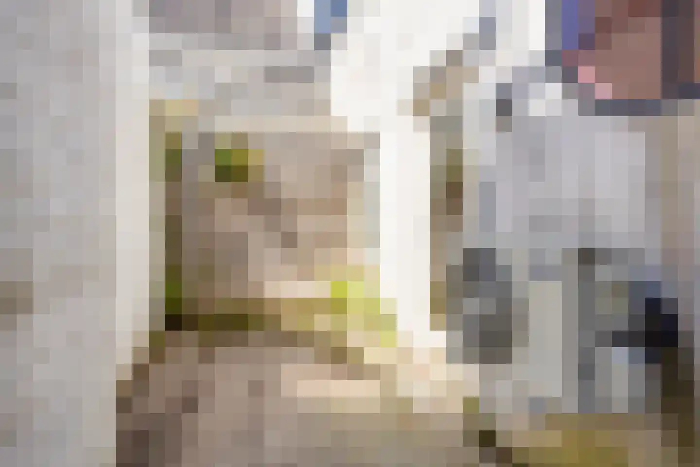 Oudegracht 17 Alkmaar thumbnail 24