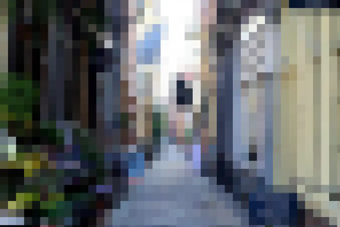 Oudegracht 17 Alkmaar thumbnail 30