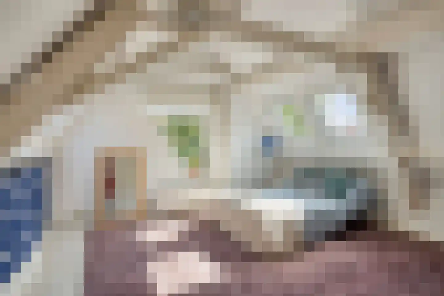 Oudegracht 194 Alkmaar thumbnail 36