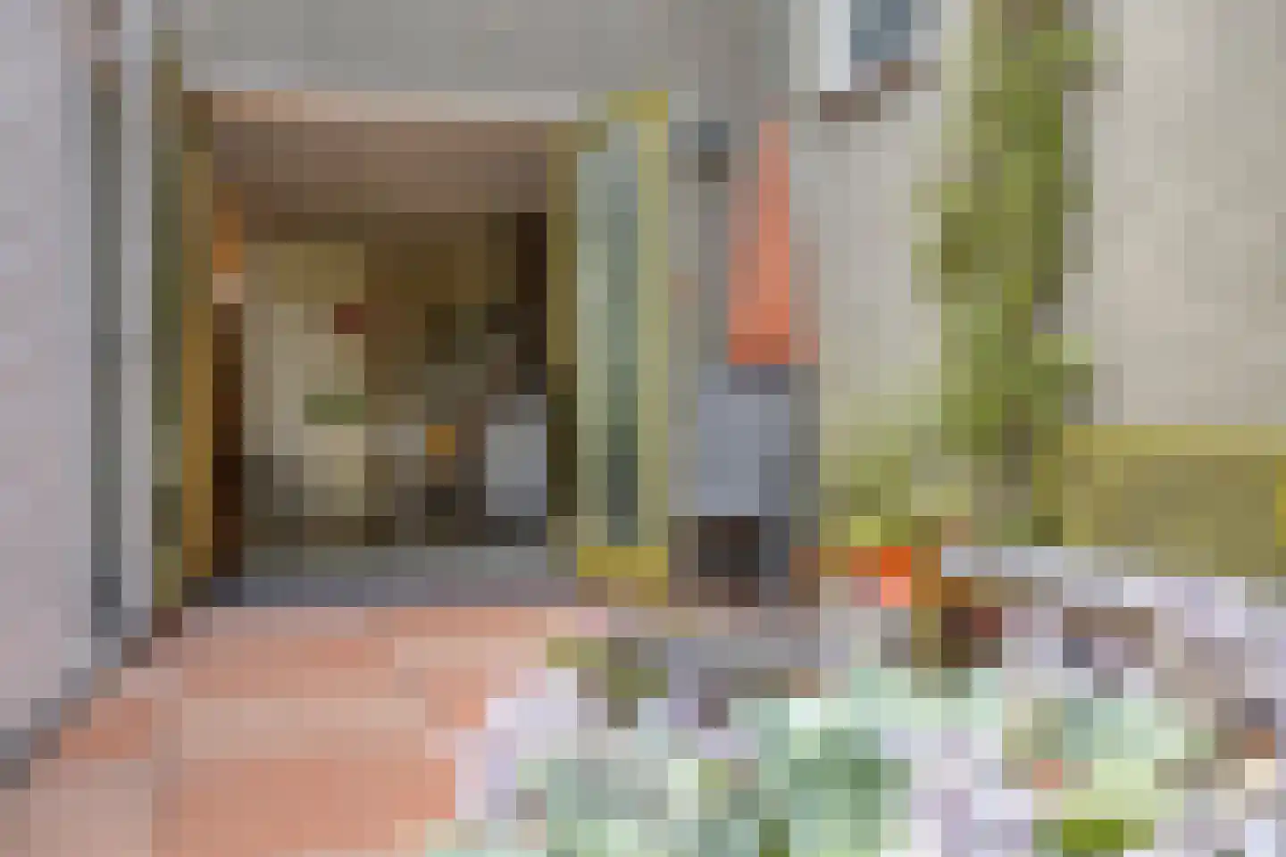 Oudegracht 194 Alkmaar thumbnail 39