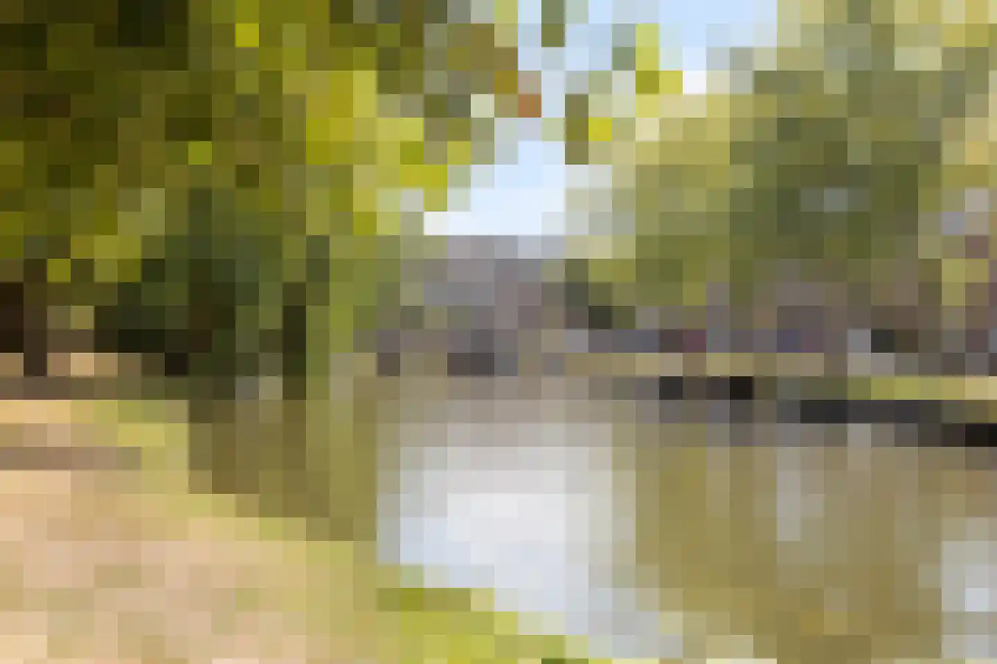 Oudegracht 194 Alkmaar thumbnail 45