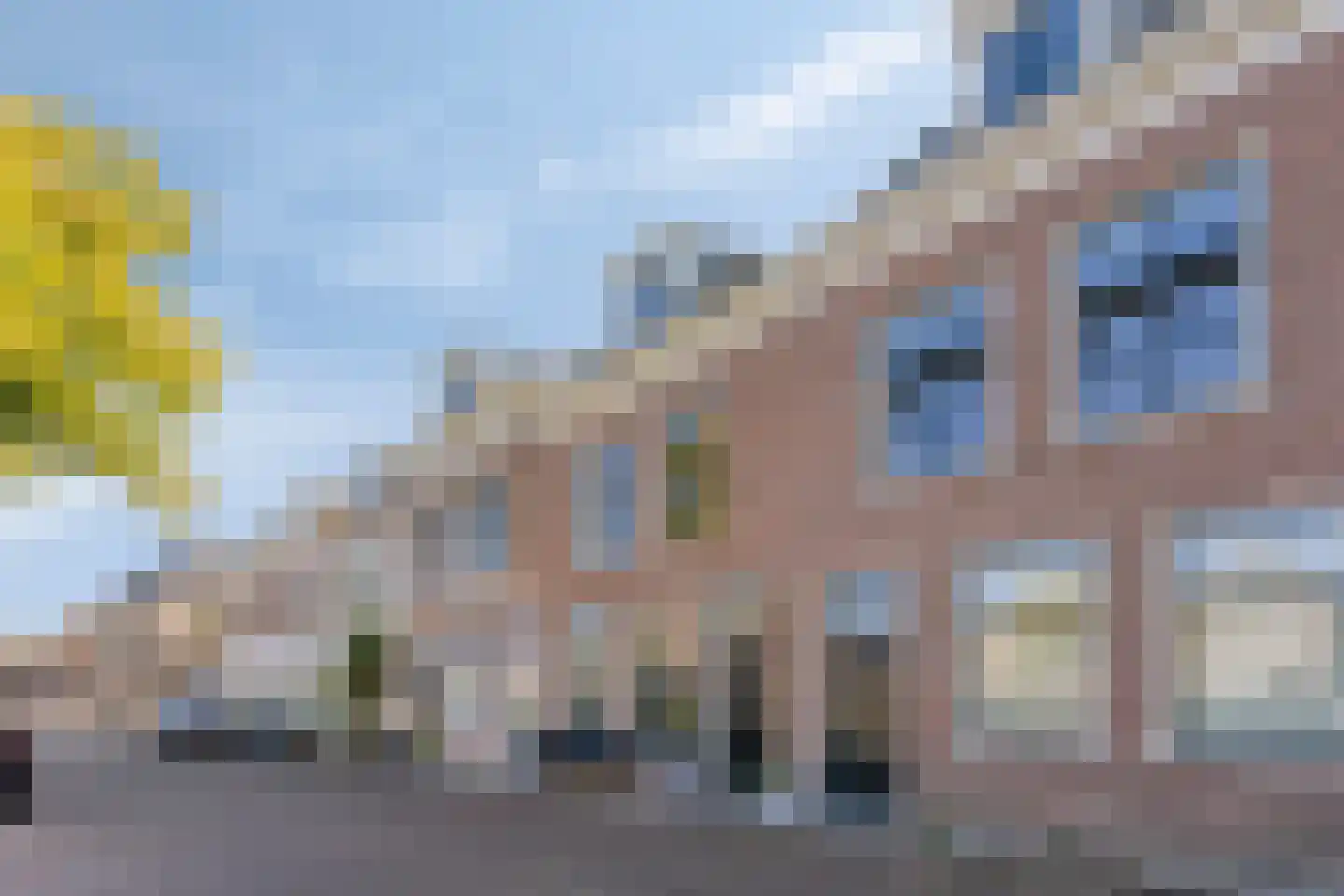 Oudegracht 199 Alkmaar thumbnail 29