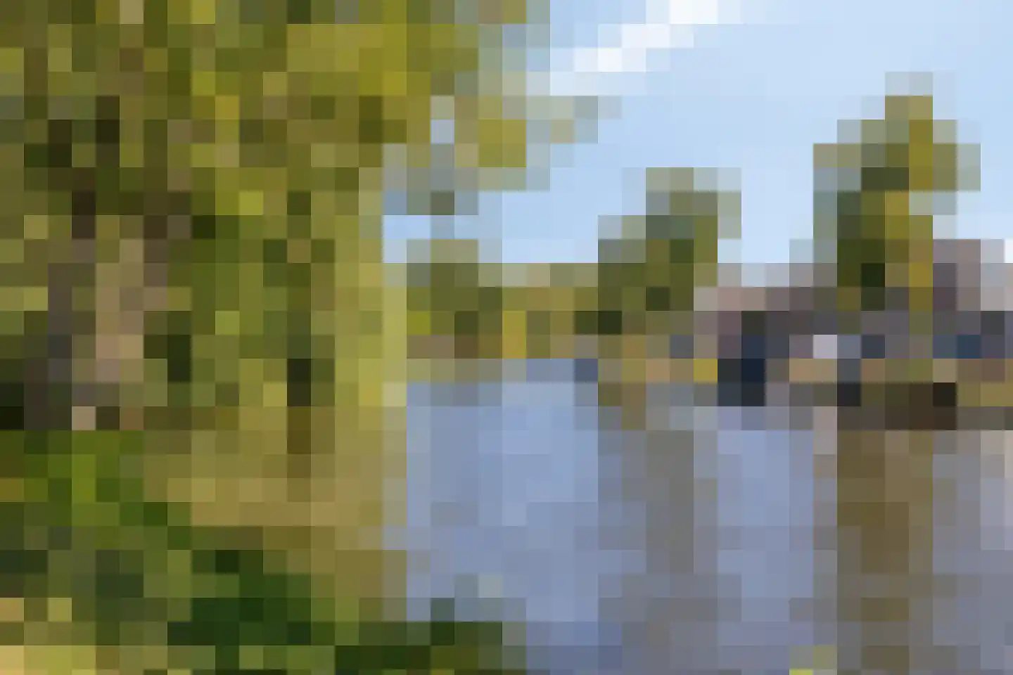 Oudegracht 199 Alkmaar thumbnail 33