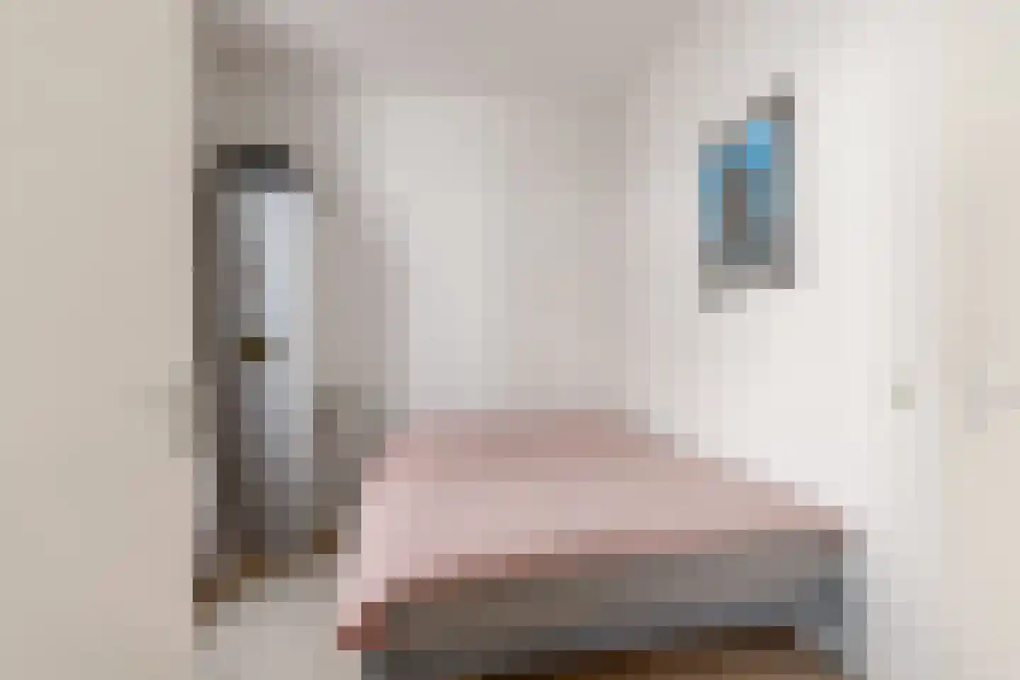 Oudegracht 203 3 Utrecht thumbnail 16