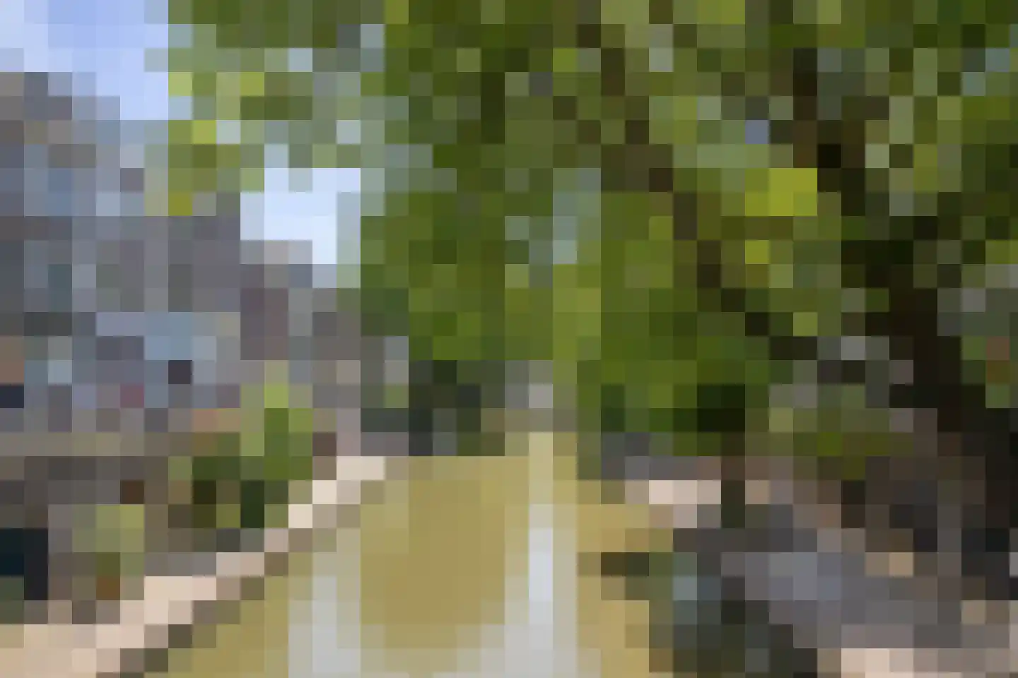 Oudegracht 203 3 Utrecht thumbnail 22