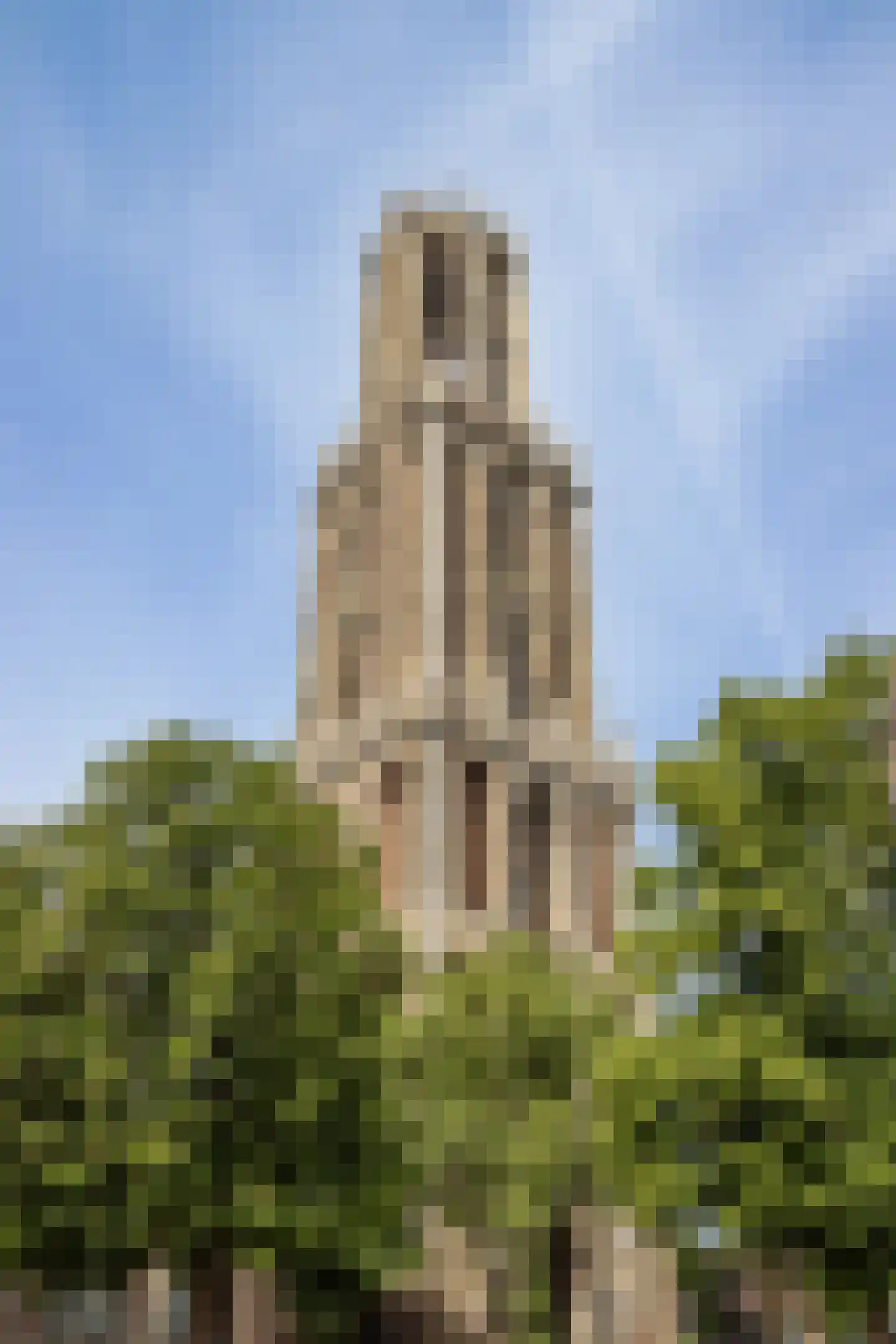 Oudegracht 203 3 Utrecht thumbnail 26