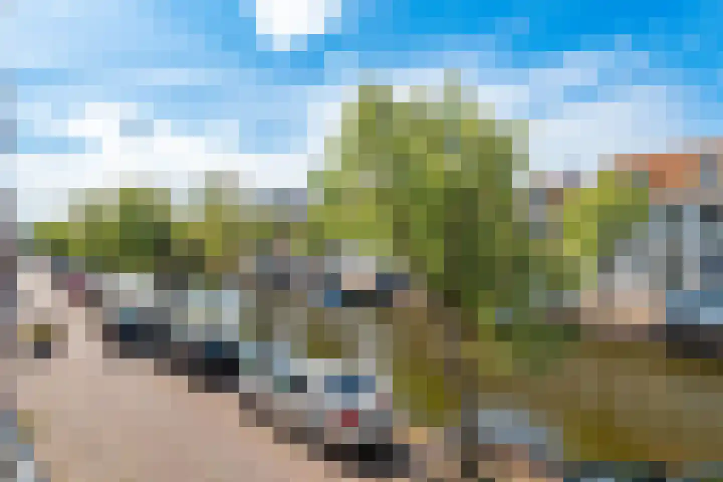 Oudegracht 232 Alkmaar thumbnail 24