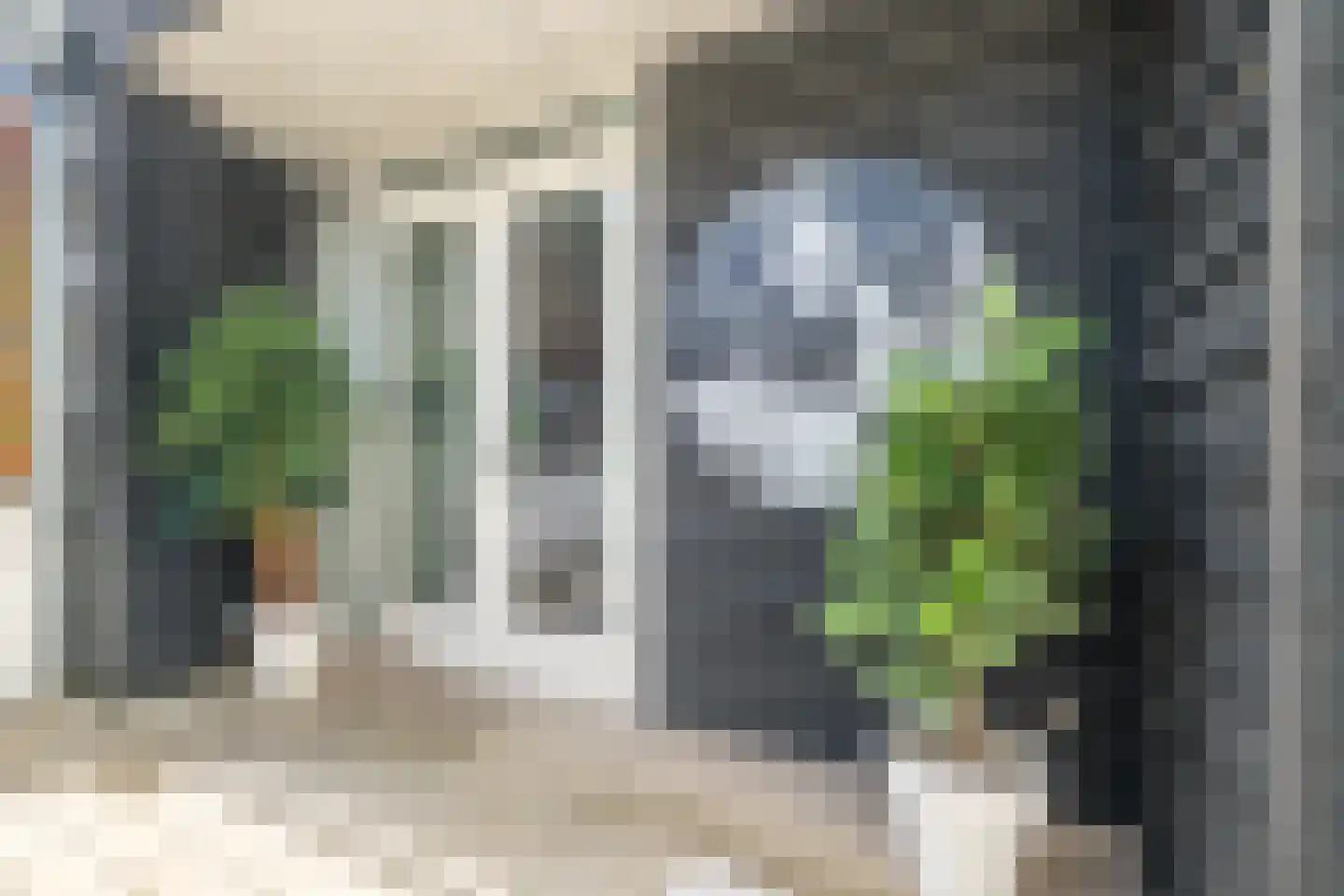 Oudegracht 232 Alkmaar thumbnail 36