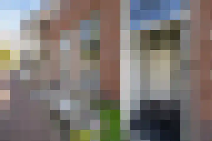 Oudegracht 238 Alkmaar thumbnail 7