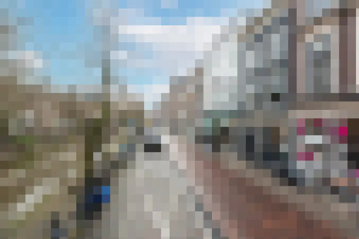 Oudegracht 255 A Utrecht thumbnail 29