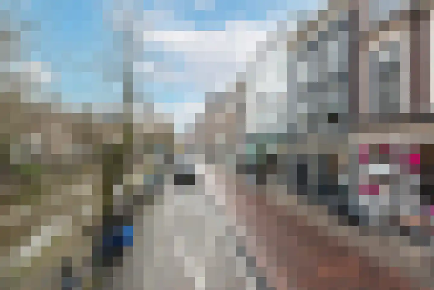 Oudegracht 255 B Utrecht thumbnail 4