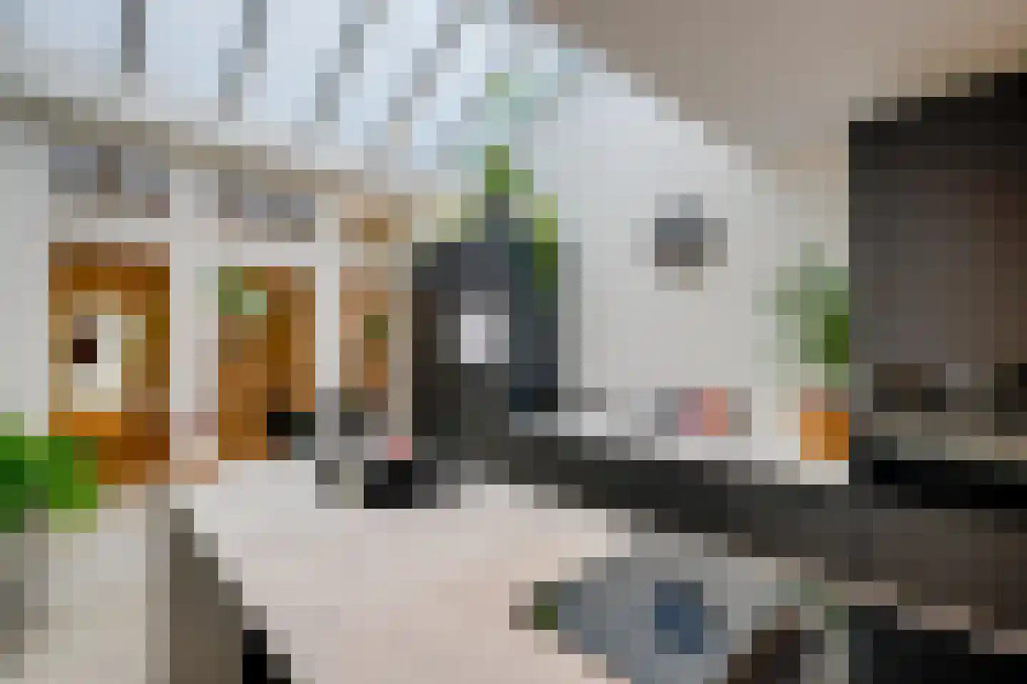 Oudegracht 257 Utrecht thumbnail 13