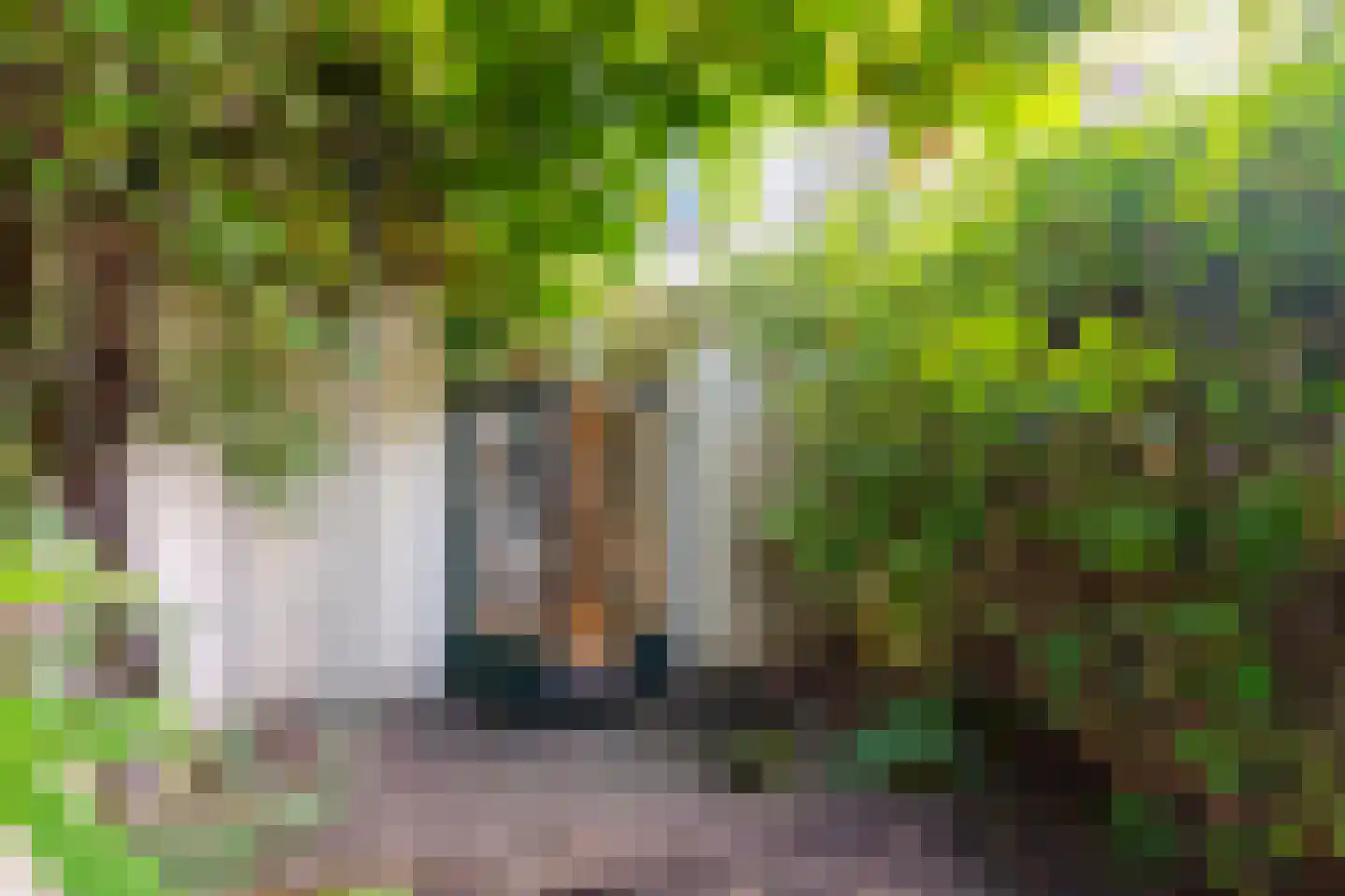 Oudegracht 257 Utrecht thumbnail 23