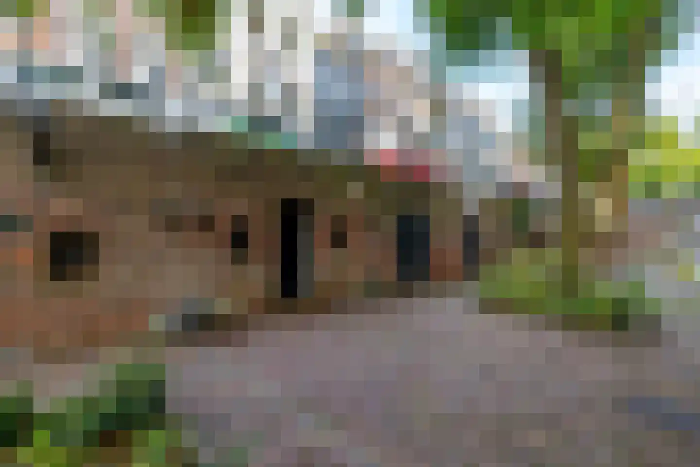 Oudegracht 257 Utrecht thumbnail 26