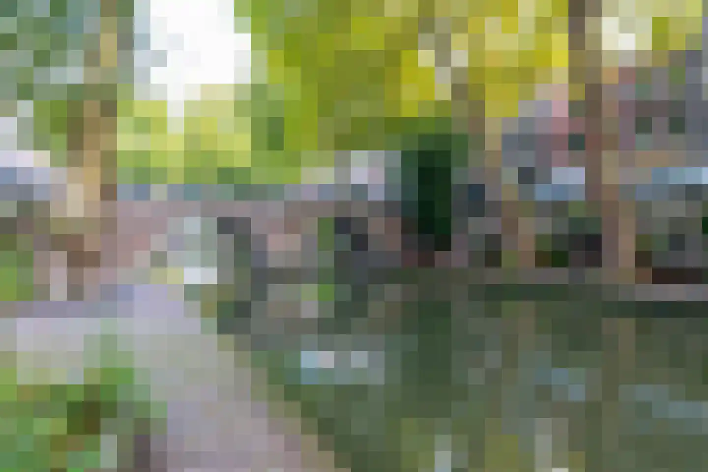 Oudegracht 257 Utrecht thumbnail 29