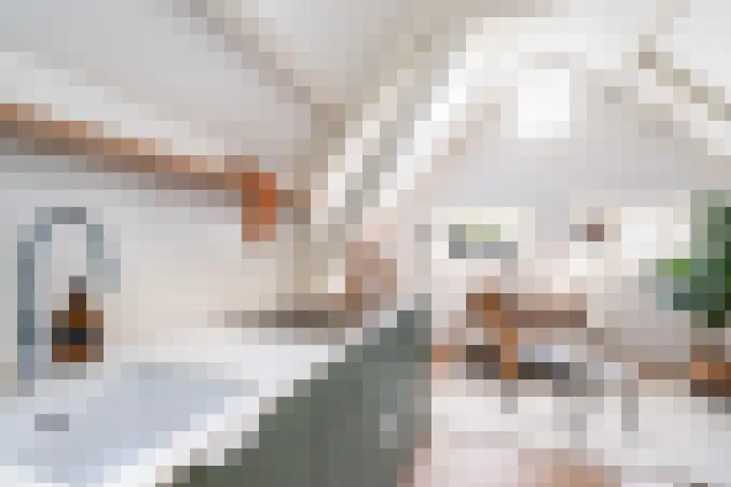 Oudegracht 26 B Utrecht thumbnail 15