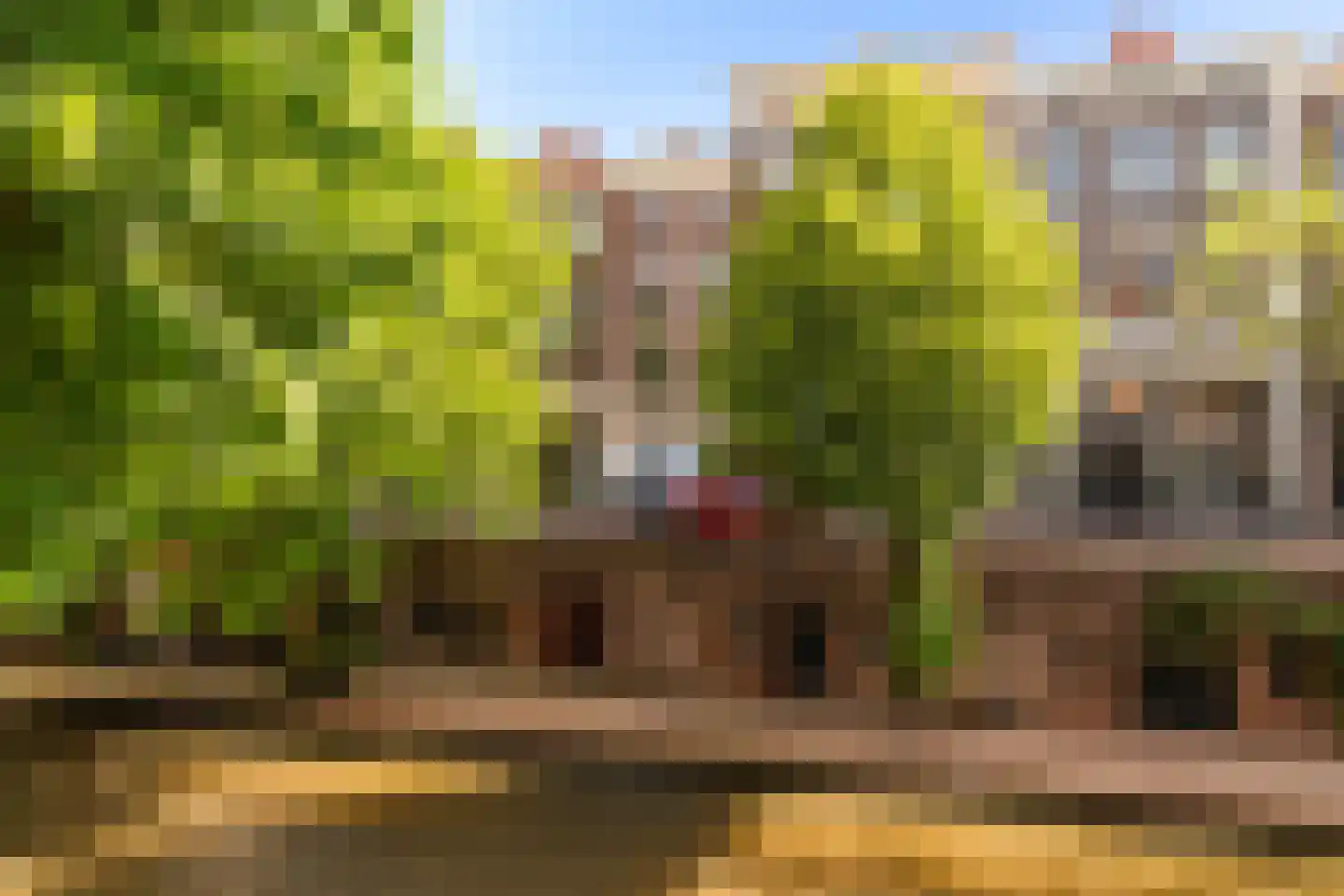Oudegracht 26 B Utrecht thumbnail 34