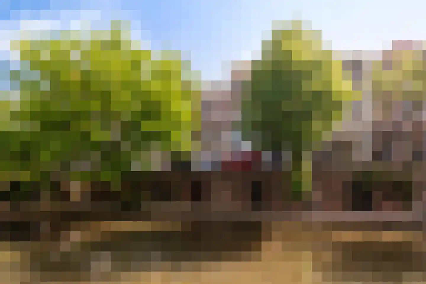 Oudegracht 26 B Utrecht thumbnail 39