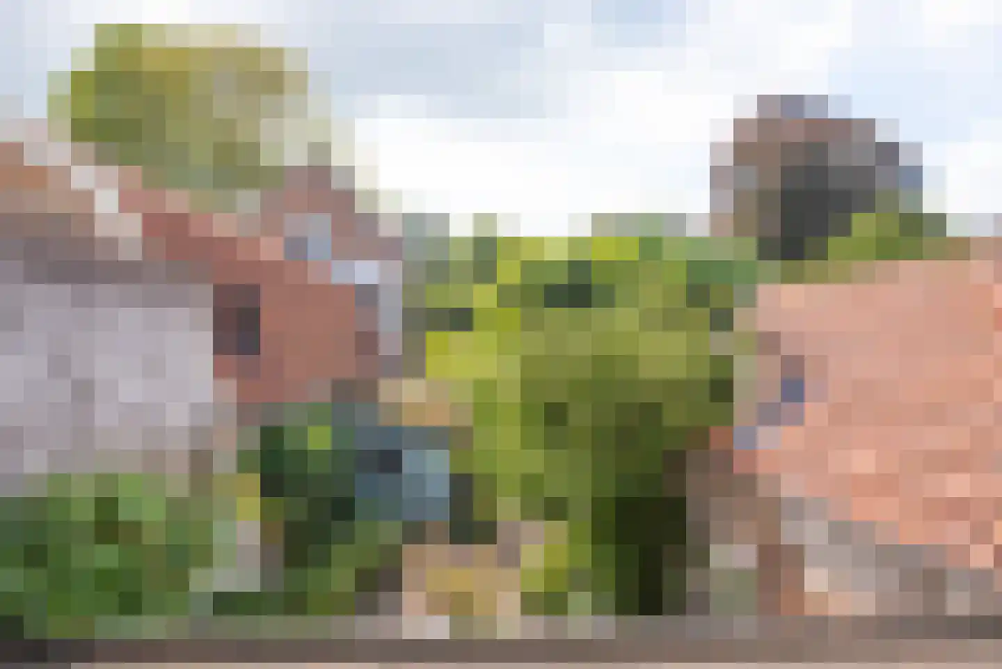 Oudegracht 267 Alkmaar thumbnail 28
