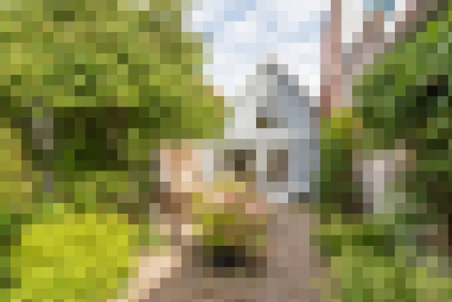 Oudegracht 267 Alkmaar thumbnail 29