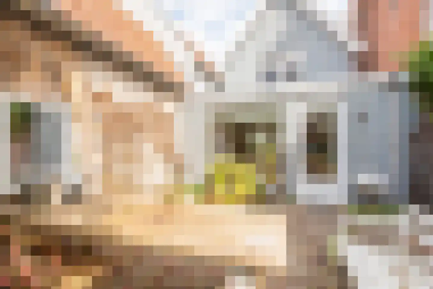 Oudegracht 267 Alkmaar thumbnail 30