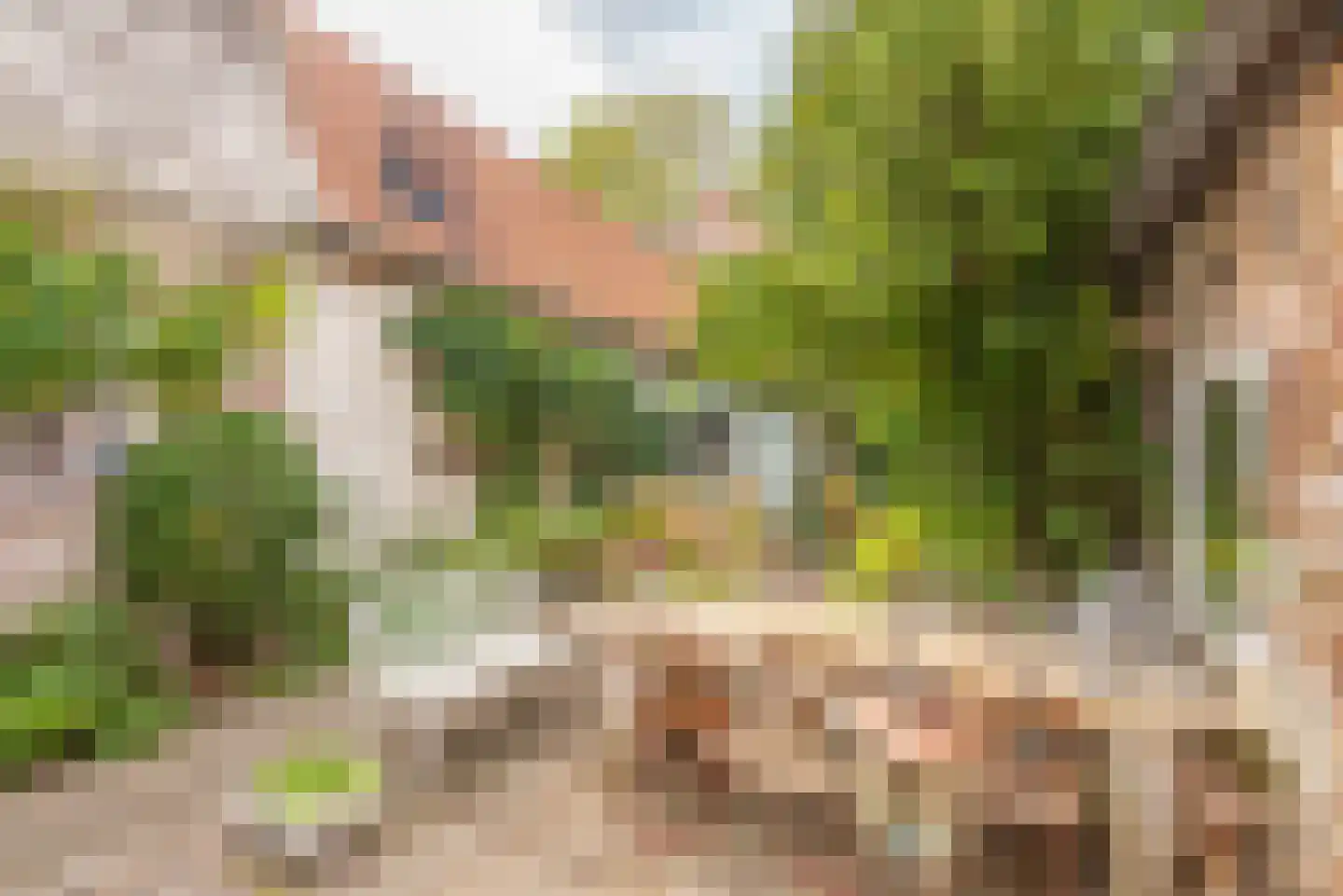 Oudegracht 267 Alkmaar thumbnail 31