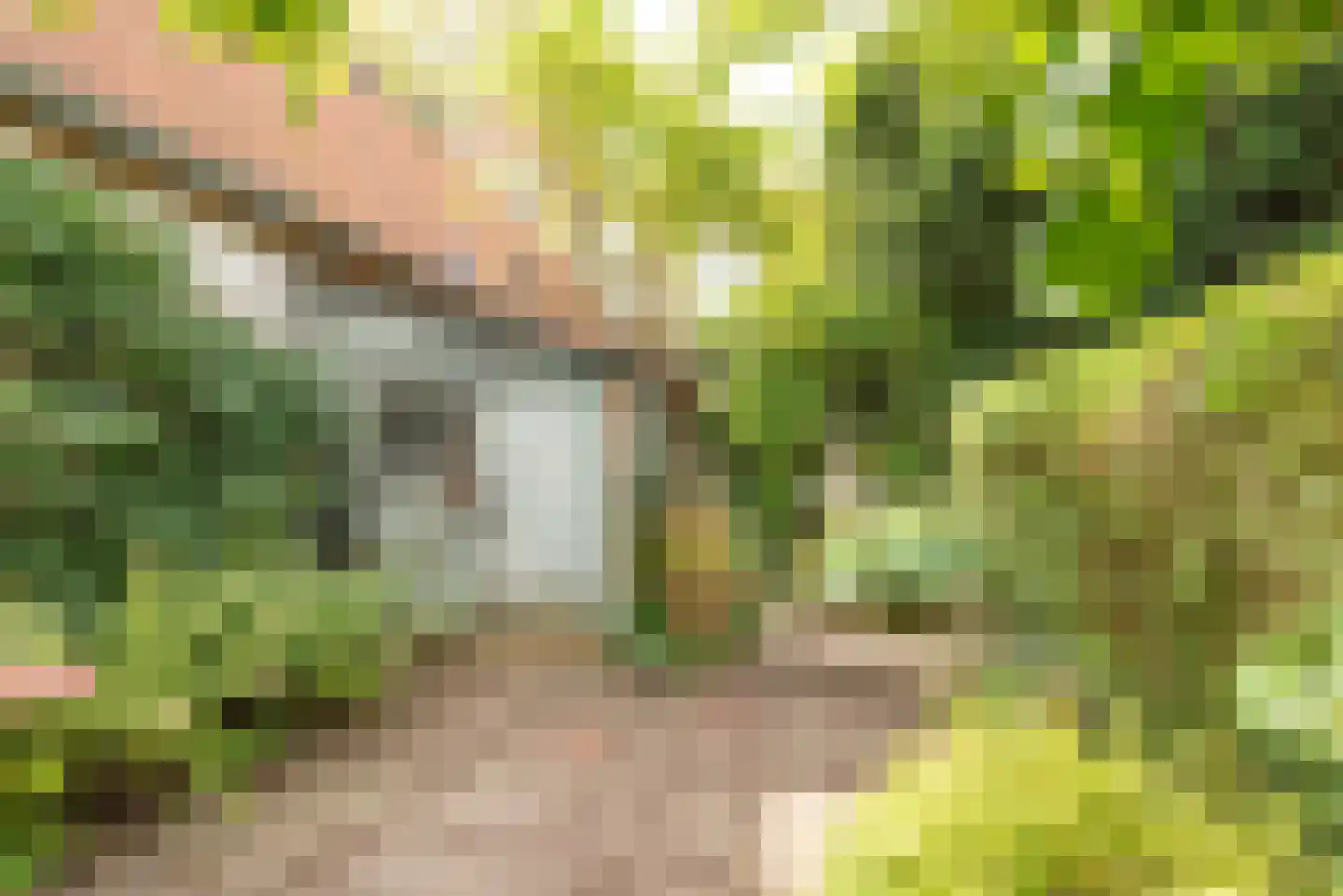 Oudegracht 267 Alkmaar thumbnail 32