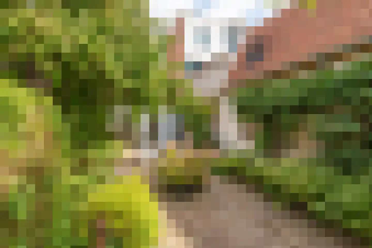 Oudegracht 267 Alkmaar thumbnail 34