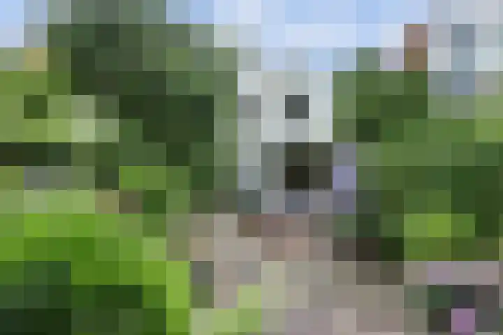 Oudegracht 269 Alkmaar thumbnail 32