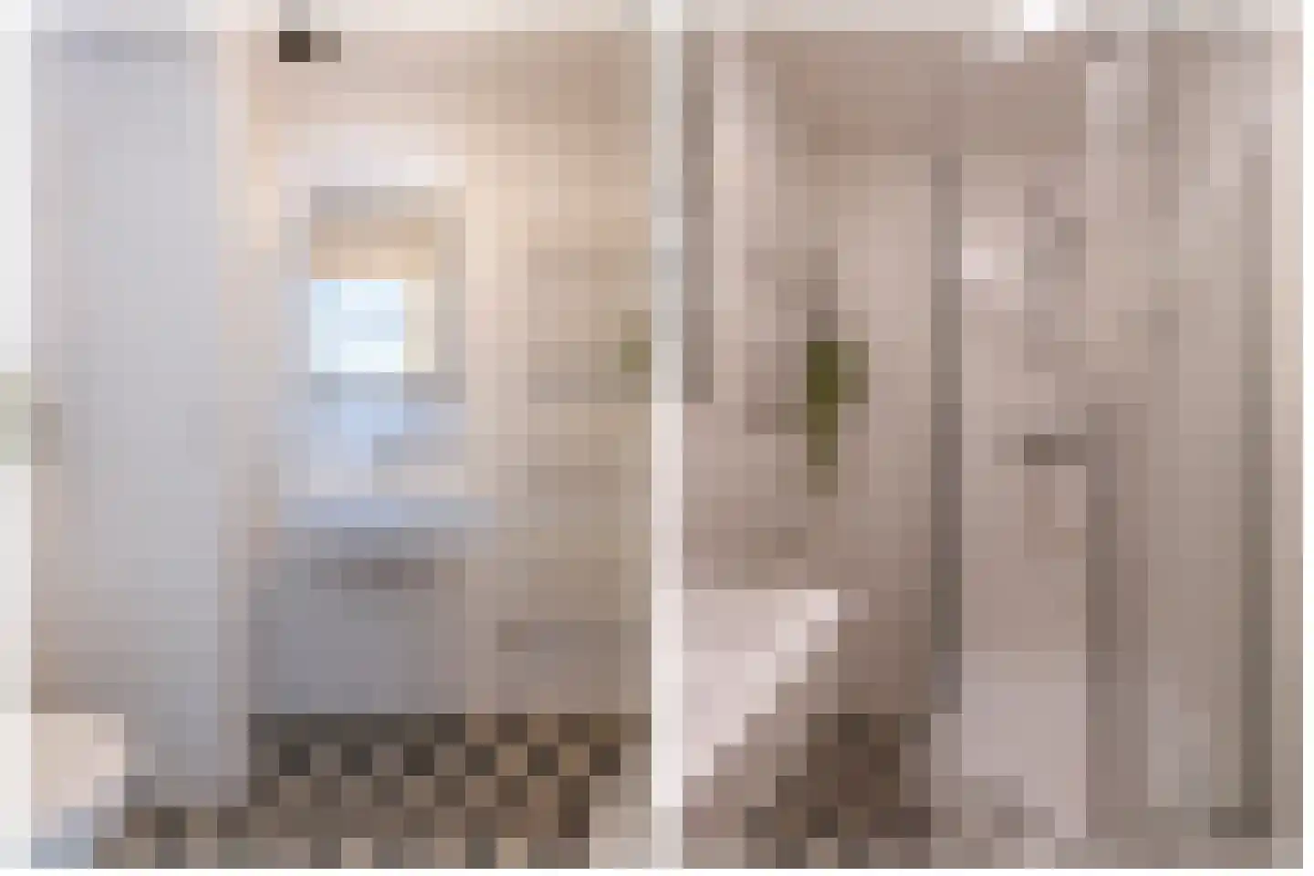 Oudegracht 273 D Utrecht thumbnail 24