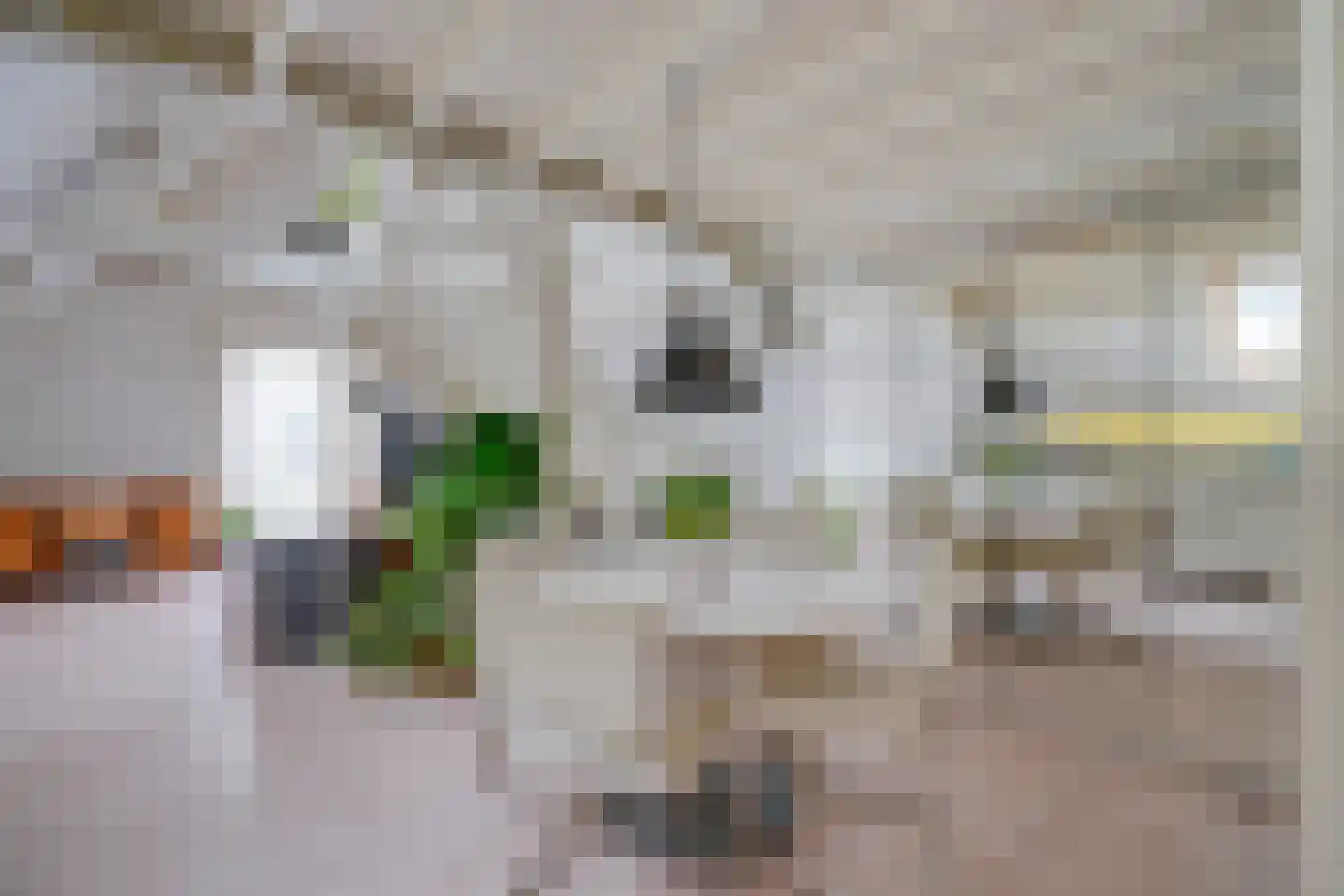 Oudegracht 273 D Utrecht thumbnail 4