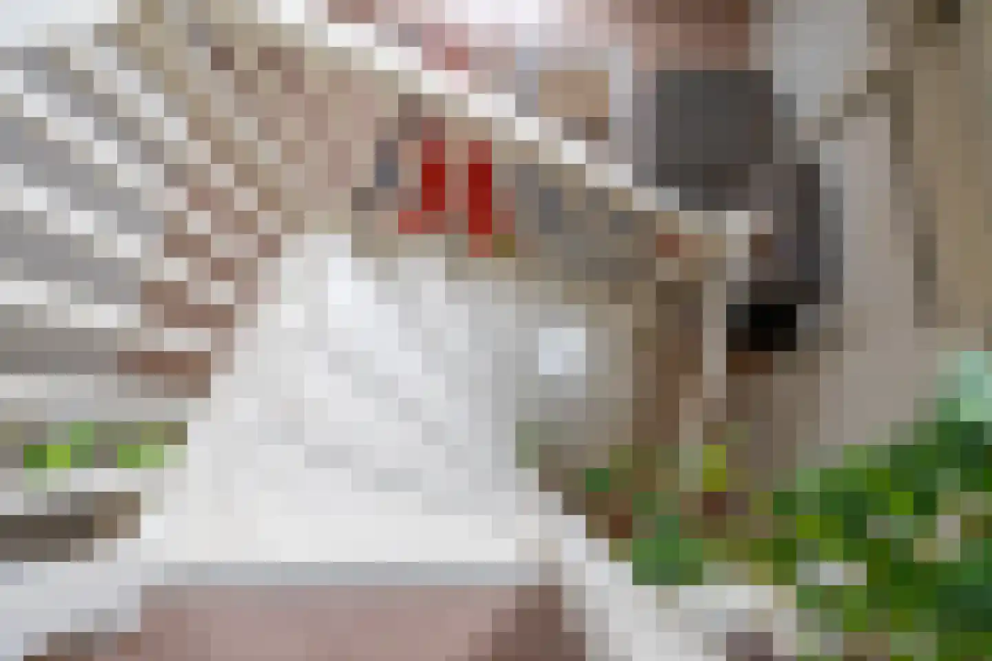 Oudegracht 273 H Utrecht thumbnail 19
