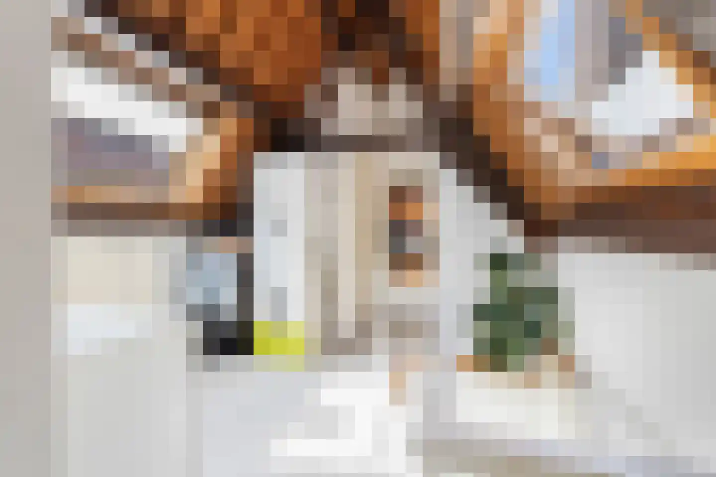 Oudegracht 278 Utrecht thumbnail 77